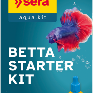 Betta Starter Kit